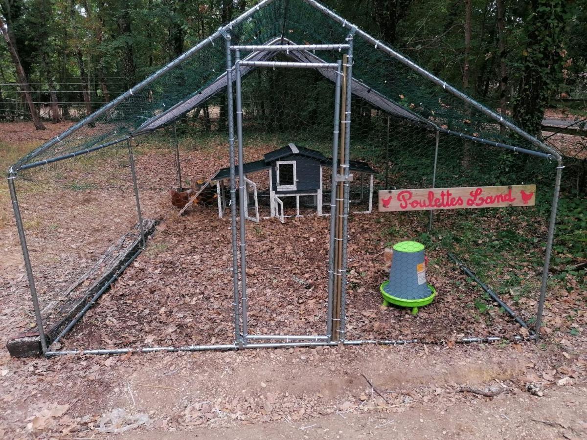 Emplacement Tente Camping Car Saint-Aubin-de-Nabirat Exterior photo